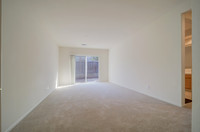 236 Wetlands Edge Rd_19