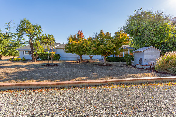 12215 County Road 84A_04