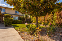 3451 Quincey Lane_15