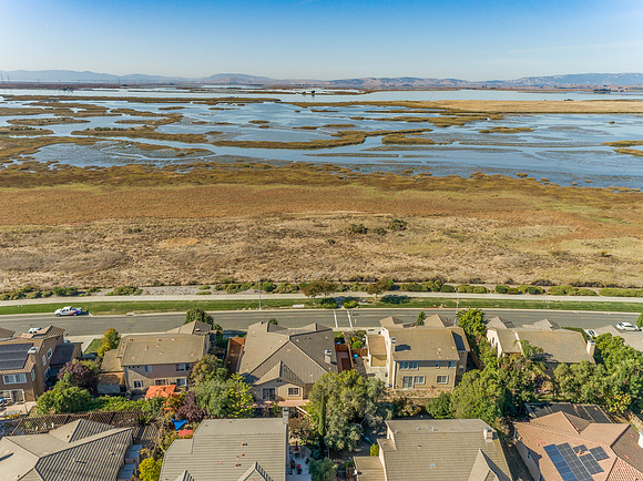 236 Wetlands Edge Rd_56