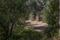 910 Southdown Court_11