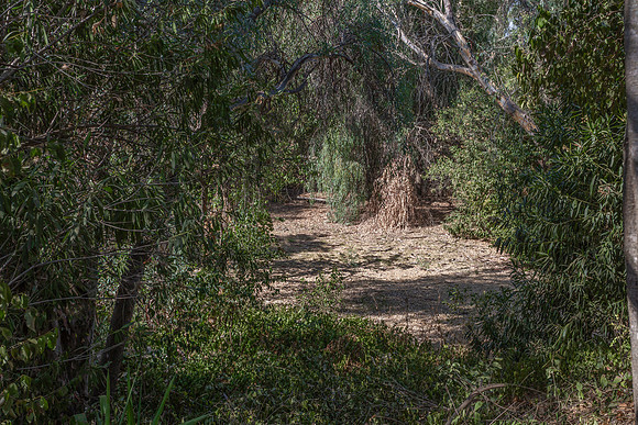 910 Southdown Court_11