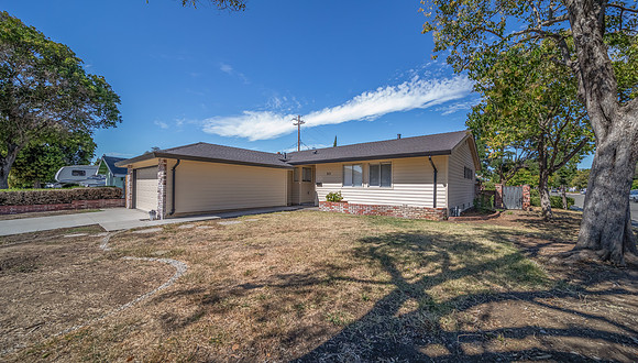 313 Lily Street_101