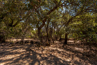 4589 McCready Court_10