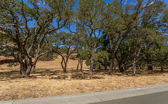 743 Bridle Ridge_04