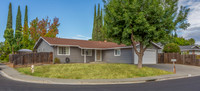 419 Andrea Drive_03