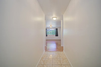 419 Andrea Drive_11