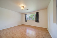 419 Andrea Drive_13