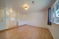 419 Andrea Drive_14
