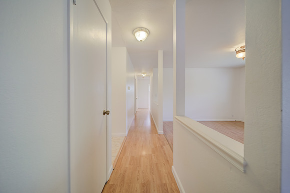 419 Andrea Drive_23