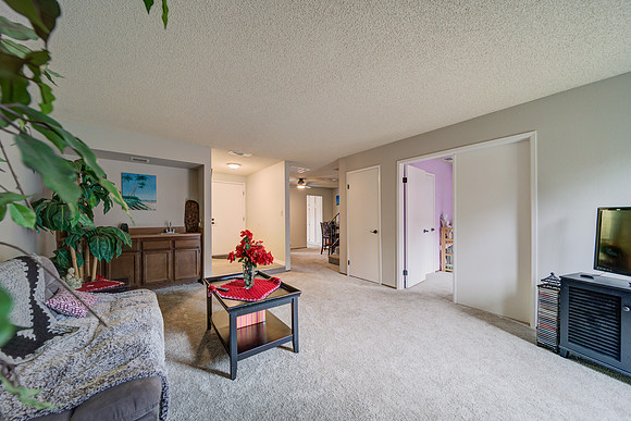 2827 Sunburst Dr_19