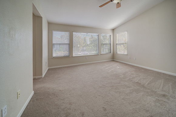 5210 Palladio Way_46