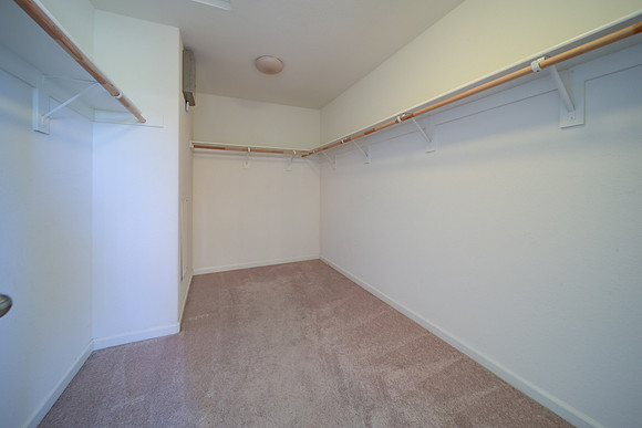 5206 Conley Lane_50