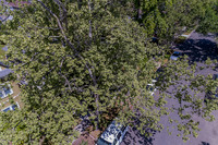 1708-1710 Santa Ynez Way_12