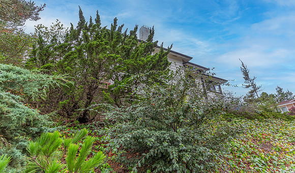 100 Alameda Place_104