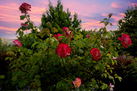 5326 Springridge Ct_015