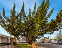 1005 Downs Way, Vallejo