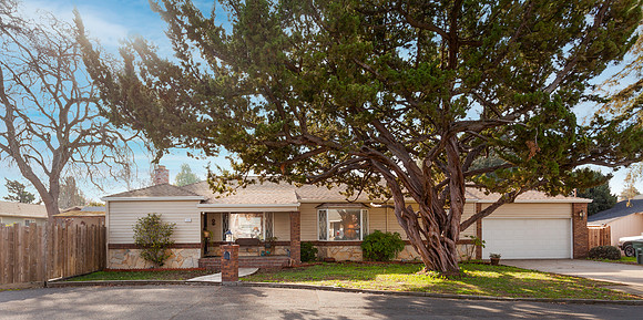 1005 Downs Way_03