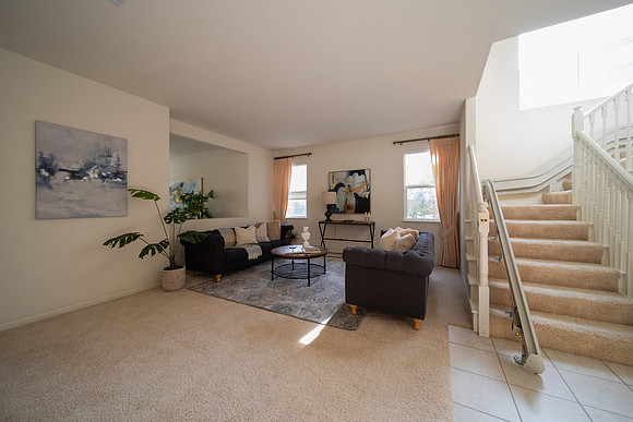 3255 Torry Pines Drive_110