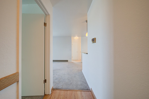 237 Lighthouse Drive_04