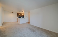 237 Lighthouse Drive_11