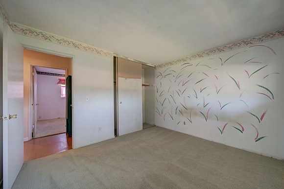490 Pear Tree Lane_28
