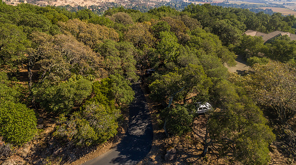 4486_Glencannon Dr_080