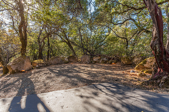 4486_Glencannon Dr_005