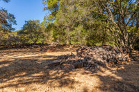 4486_Glencannon Dr_008