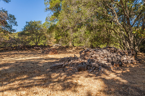 4486_Glencannon Dr_008
