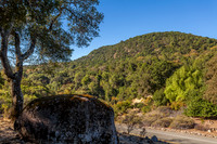 4486_Glencannon Dr_018
