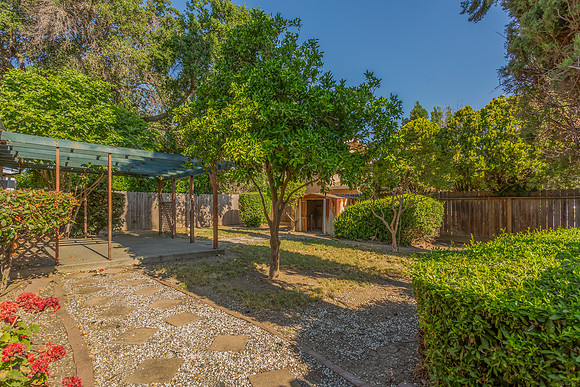 490 Pear Tree Lane_107