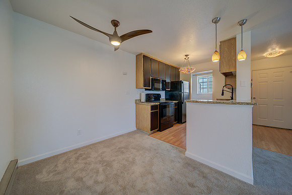 237 Lighthouse Drive_13