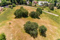 1020 Mulberry Court_104