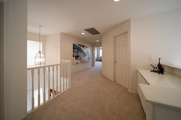 3255 Torry Pines Drive_126