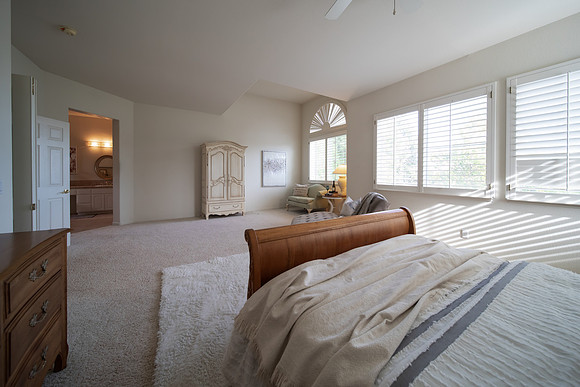 3255 Torry Pines Drive_129