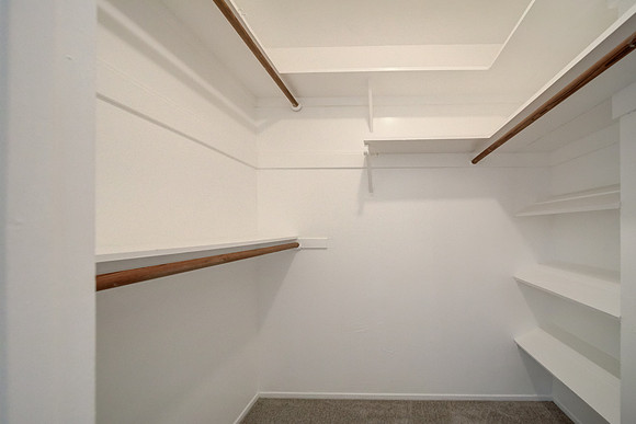 313 Lily Street_45