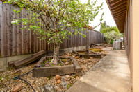 196 Auburn Way_11