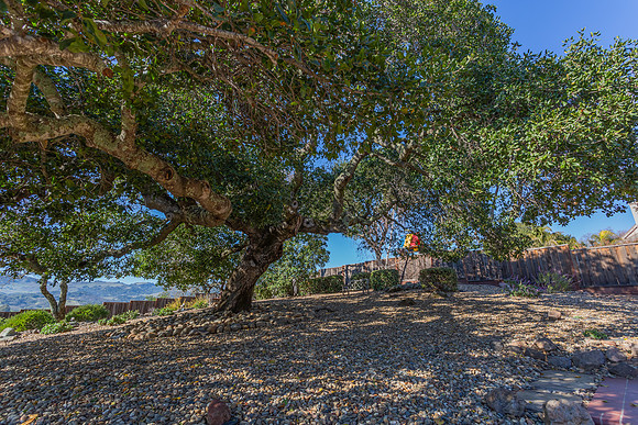 5229 Springridge Way_110
