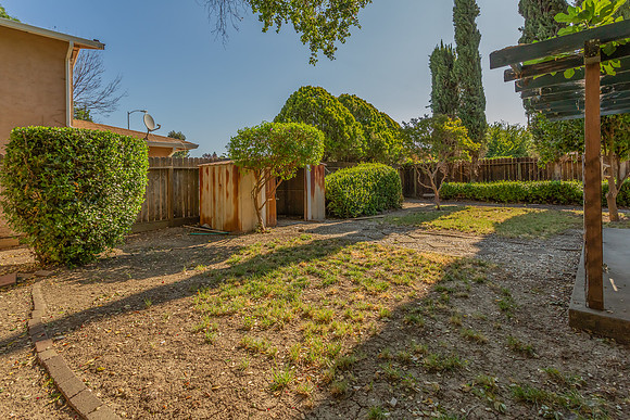 490 Pear Tree Lane_10