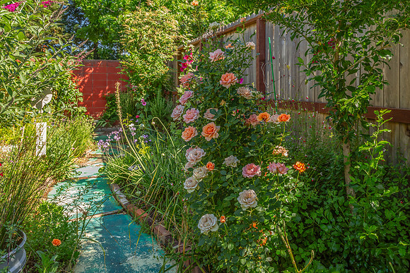 1812 Utah Street_107