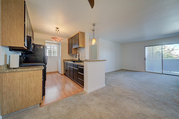 237 Lighthouse Drive_15