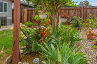 137 Webster Street_09