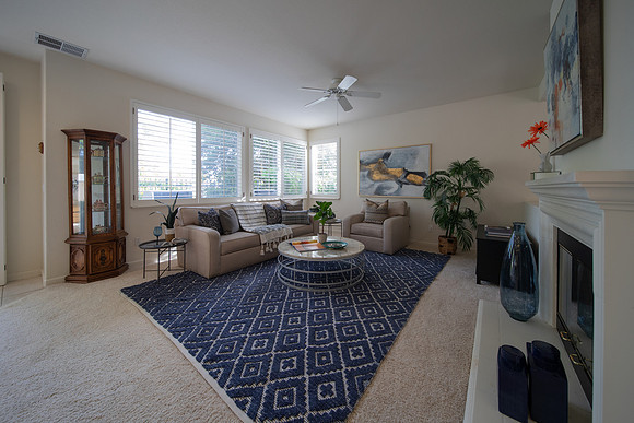 3255 Torry Pines Drive_120