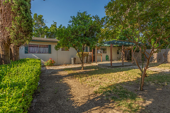 490 Pear Tree Lane_108
