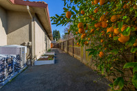 5229 Springridge Way_07