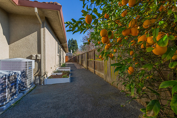 5229 Springridge Way_07