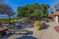 5229 Springridge Way_06