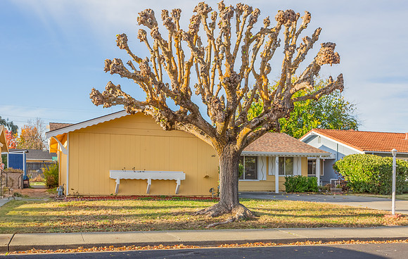 142 McKinley Circle_03