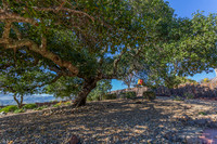 5229 Springridge Way_10